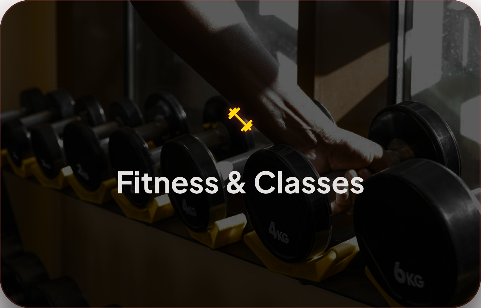 Fitness & Classes