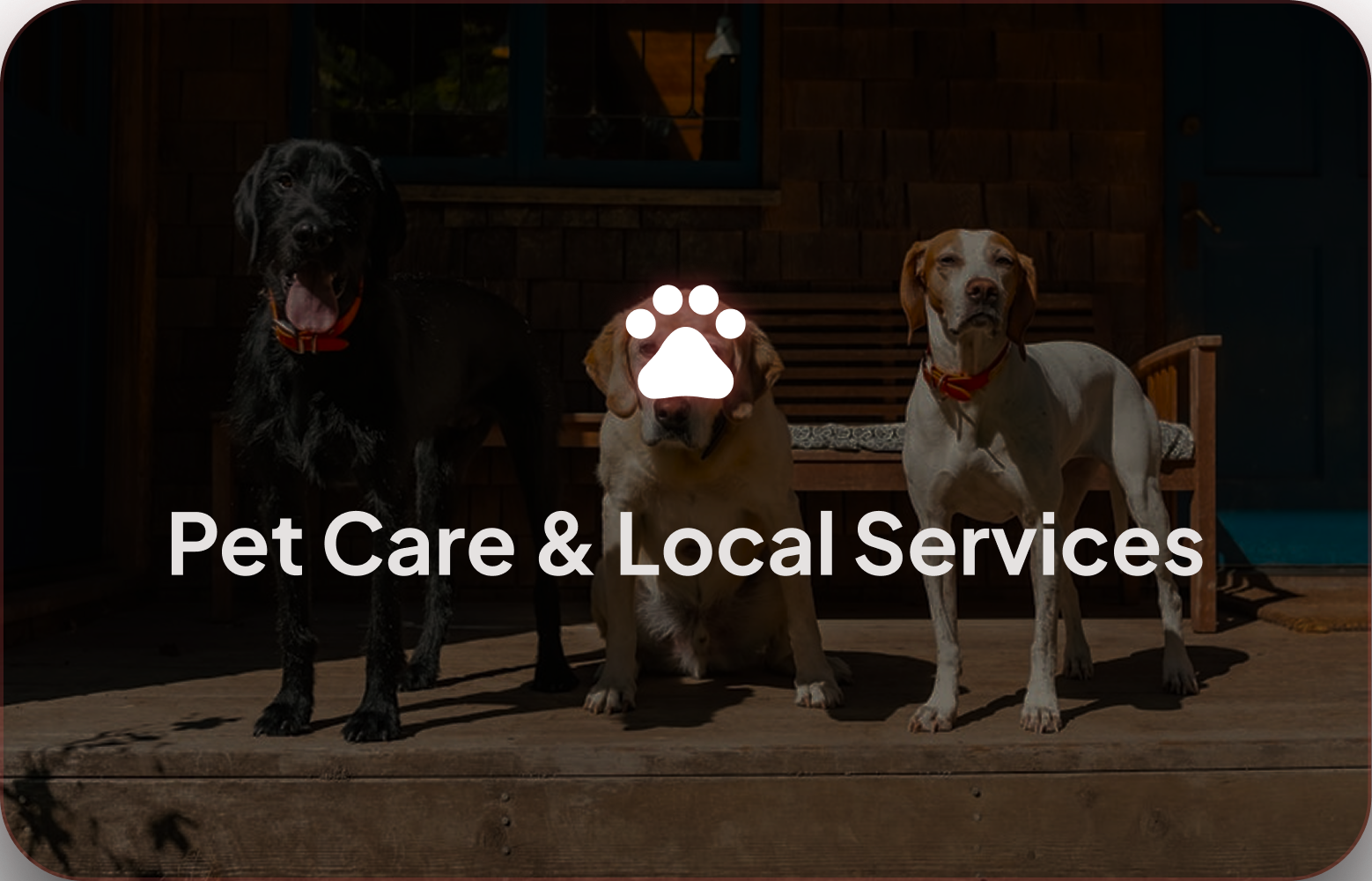 Pet Care & Local Services